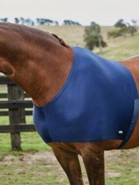 WeatherBeeta Stretch Shoulder Guard Horse Hood, Navy, Size Full (75-81 inches)